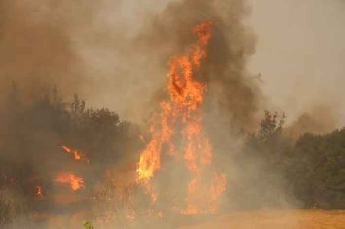 Panic as wildfires spark evacuations at holiday hotspots in Turkey and Greece