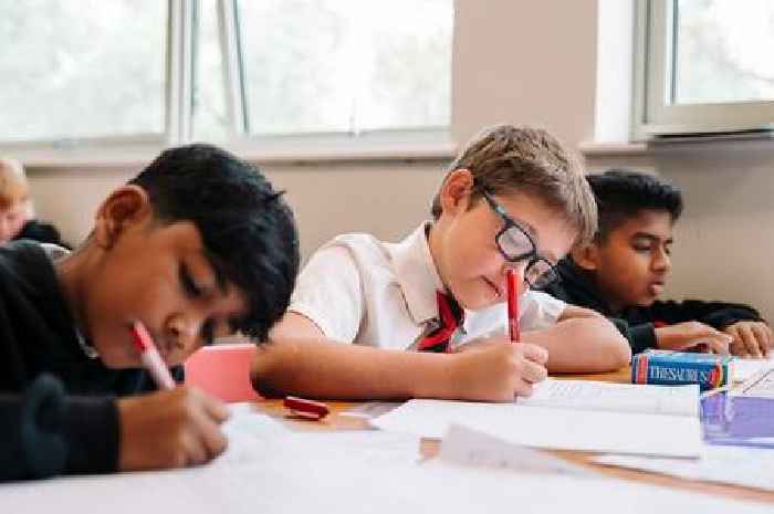 Axminster Primary praised by Ofsted as a happy and inclusive school
