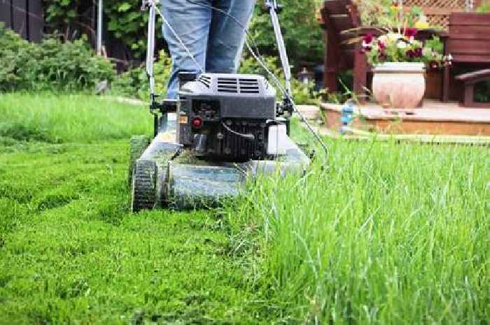 One simple lawn mower check that could stop grass turning brown and patchy