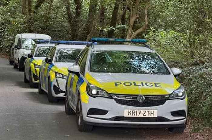 Heavy police presence in woods after man found dead in murder probe