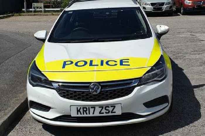 Idiot spotted jumping on police car in Redruth
