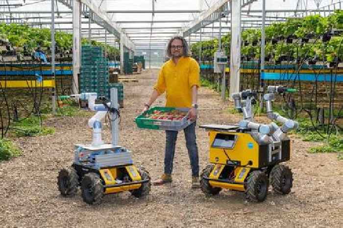 Famous Essex jam makers to use robots to pick fruit