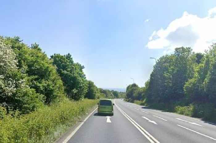Exact dates and times stretches of A2 and A21 in Kent will shut for tree removals