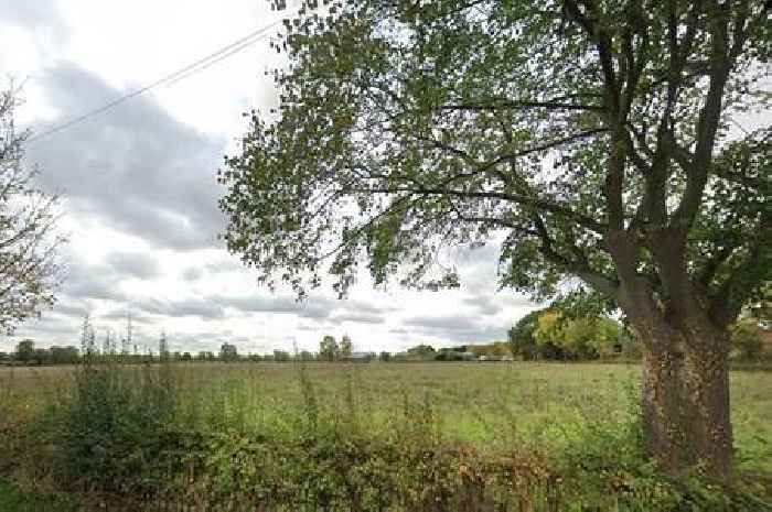 Green light for 30 new homes next to Cambs farm despite fears about 'unpleasant odour'