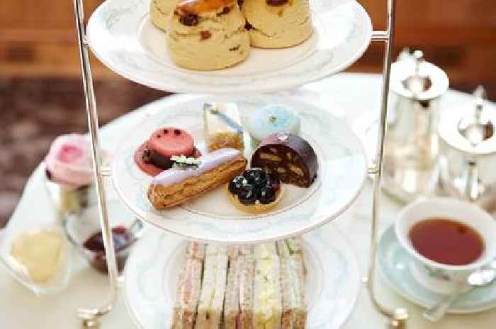 American tries British afternoon tea and issues damning verdict