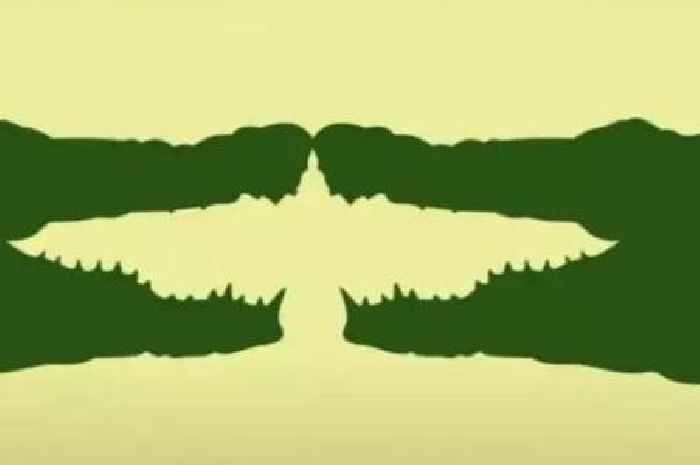 Optical illusion 'personality test' shows if you're 'lonely' or a 'leader'