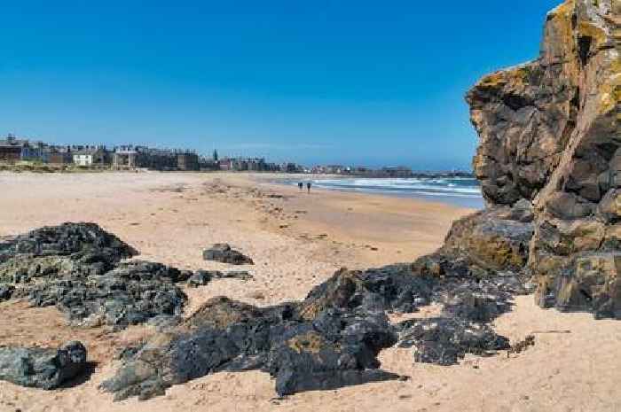 The Scottish seaside town that is food lover's paradise with chippies and restaurants