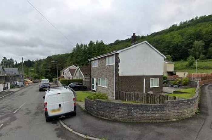 Homeowners fail in bid to have 62 trees they fear could fall onto their houses chopped down