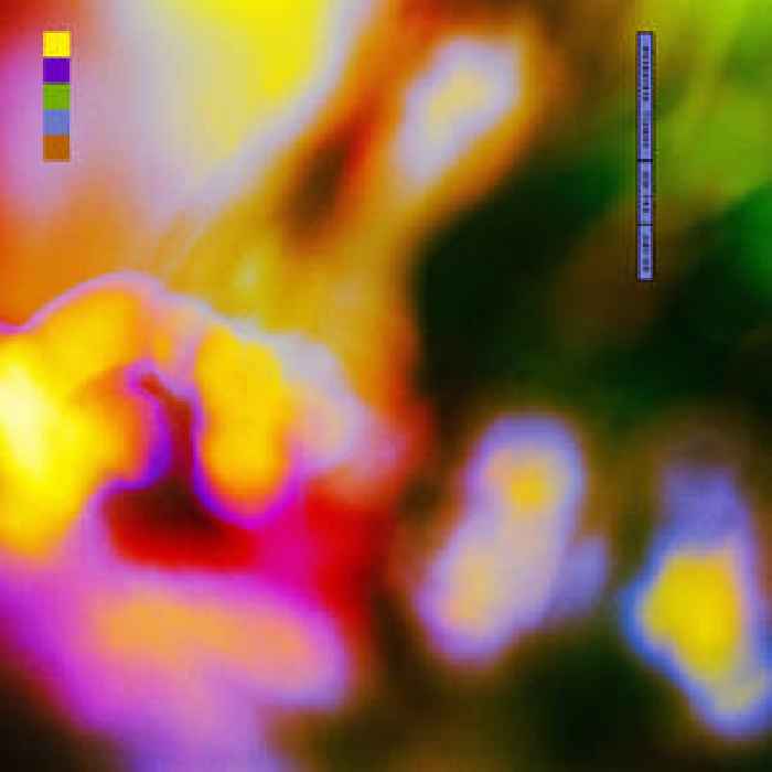 Welcome Strawberry – “Desperate Flower”