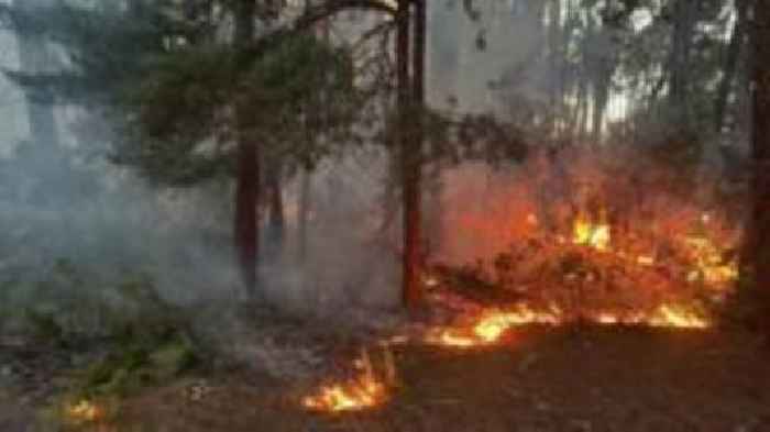 Firefighters tackle heath blaze overnight