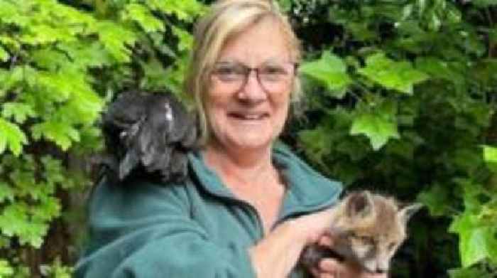 Wildlife hospital given time to revise site plans
