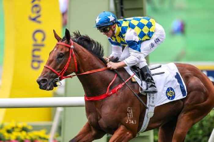 Perfect chance for Patch to Star again under Purton