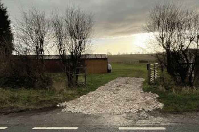 Man ordered to pay £1,737 over what inspectors found at former stables