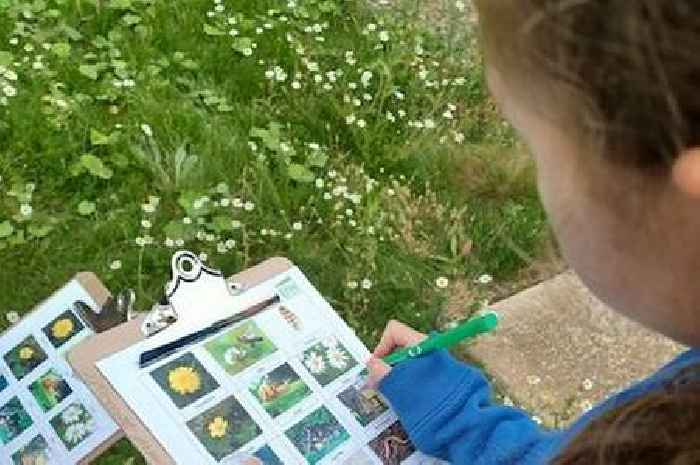 Free summer scavenger hunt teaches Gloucester kids about waste and energy