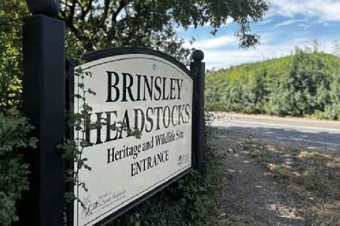 Brinsley Headstocks to be rebuilt by spring after six-month delay to project