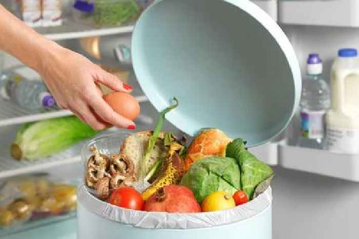 Money-saving kitchen tool keeps 'food fresher for longer' and cuts down on wastage