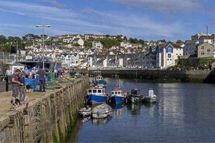 Young man arrested after incident at Devon harbour