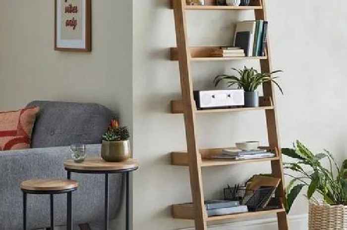 Dunelm's 'stylish and sturdy' £99 ladder shelf perfect for small spaces is 50% off