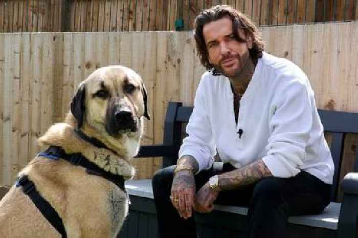 TOWIE's Pete Wicks' message to meat eaters as he backs Burger King campaign