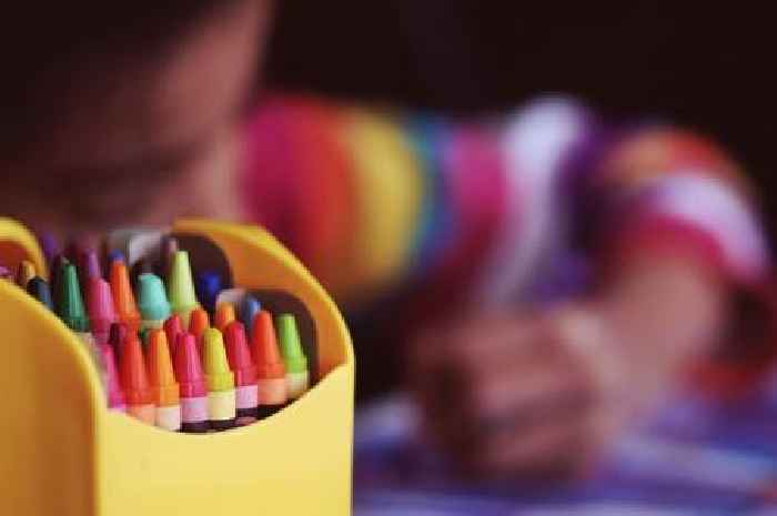 'Failed, side-lined, and left to struggle': Somerset mum waits almost two years for special needs support