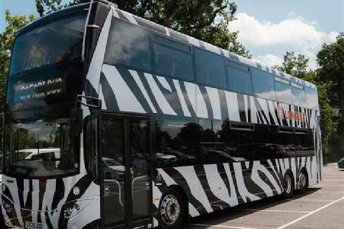 Upgraded zebra-striped bus boosts Longleat safari experience