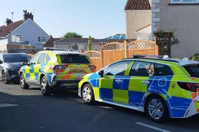 Attempted murder arrests after violent attack in Somerset village