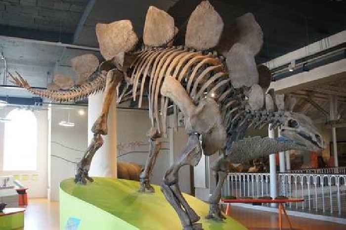 Iconic Scottish museum named among the world’s top-rated dinosaur museums
