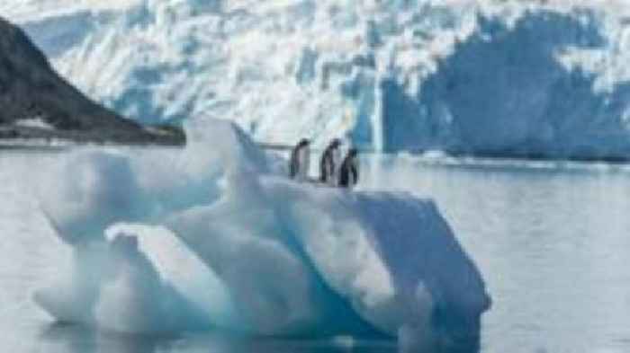 American teen pilot detained on small island in Antarctica