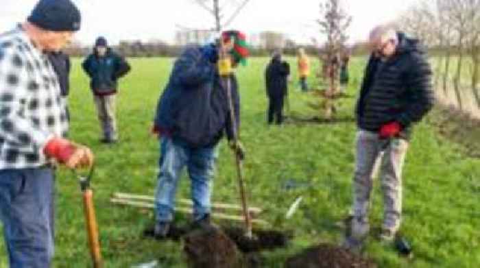 Increase in tree planting in Humber Forest project