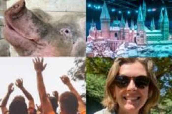 East of England news quiz of the week