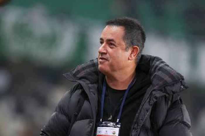 Hull City owner Acun Ilicali will 'come out swinging' to defend position with club in 'fine place'