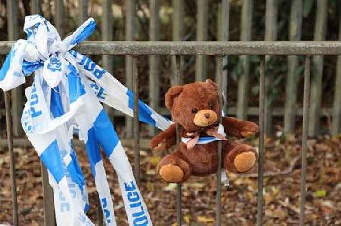 Mum remains in coma six months after horror crash that killed her toddler