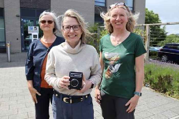 Why the sound of a swift call is being emitted in Devon