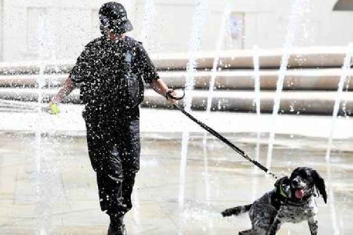 Patrols increased and more fines issued as crime still plagues city centre