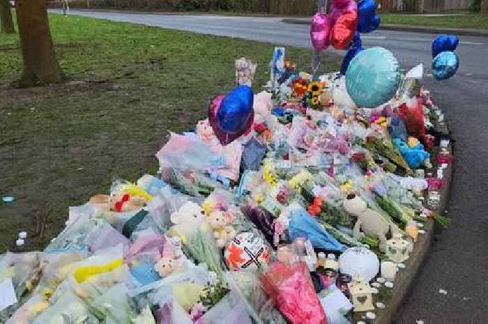 15 tragic deaths that have rocked Essex so far in 2025 - from children losing their lives to a mum killed by her own son