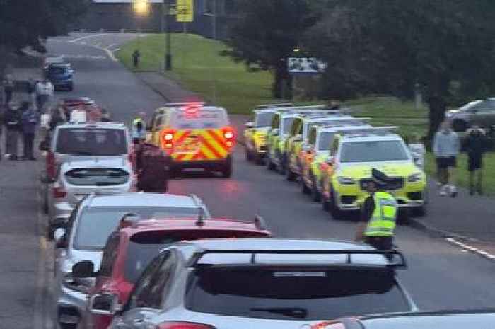 Ayr 'stabbing' sees armed police and sniffer dogs descend on street