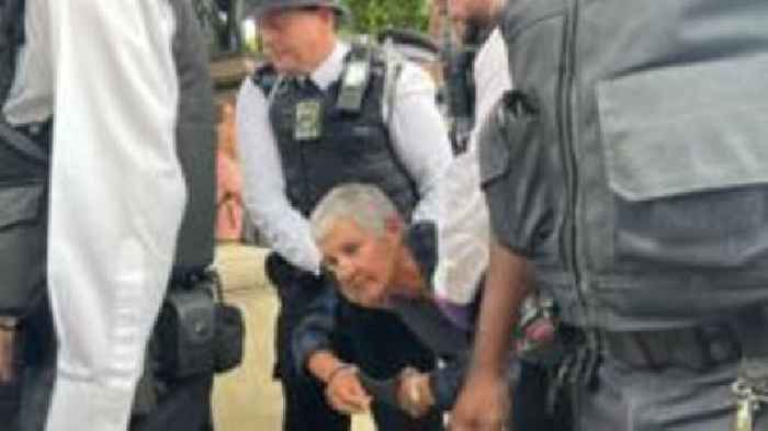 29 arrests after protest in support of Palestine Action, police say