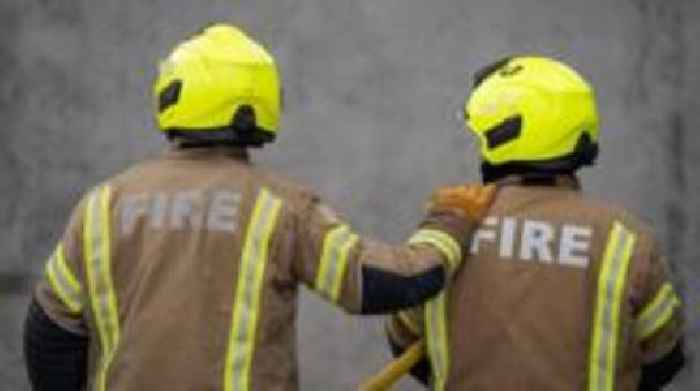 Disposable barbecue blamed for woodland fire