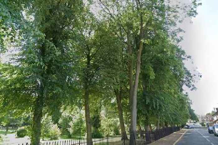 Derbyshire police want help from people living in eight streets after Ilkeston sexual assault