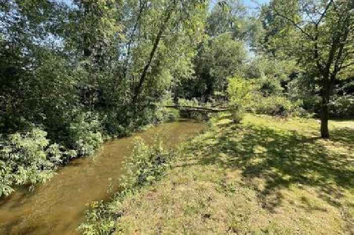 Idyllic woodland near Bristol with a stream is up for sale for £10,000