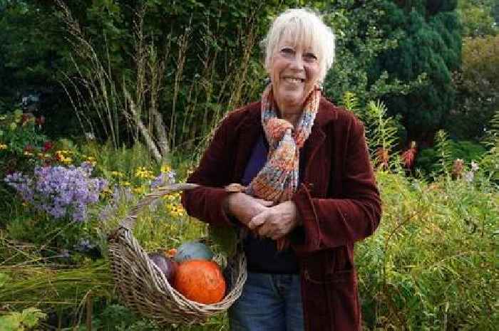 BBC Gardeners' World's Carol Klein credits flower with helping her in cancer battle
