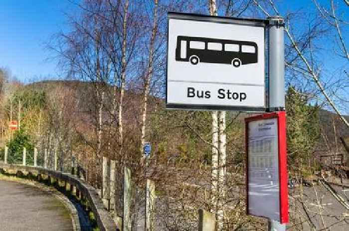 Wotton-Under-Edge gets bus link back as transport fight continues