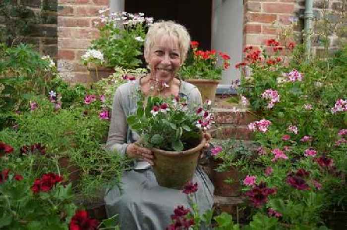 Gardeners' World's Carol Klein says one flower helped her 'recover' from brutal health battle