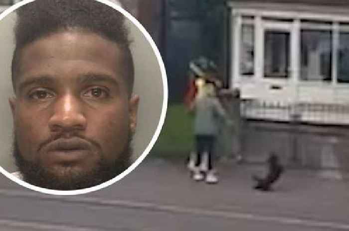 Neighbours' revenge on Birmingham thug who went viral for kicking dog