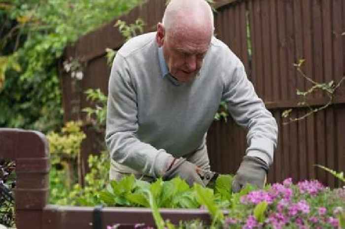 UK households rush to use same trick to avoid HMRC tax raid under Rachel Reeves