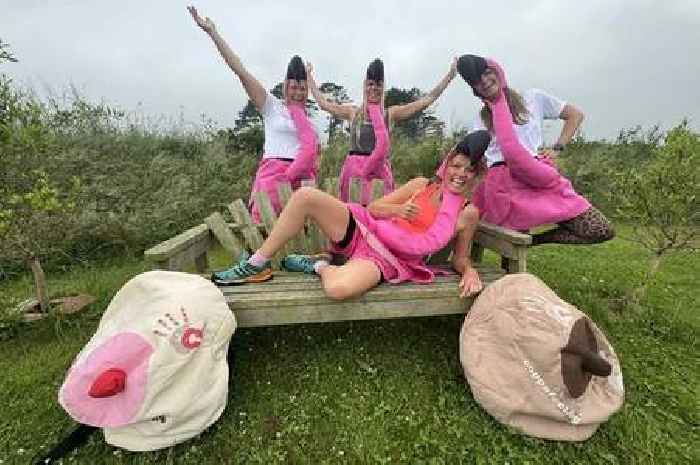 Cornwall flamingos in bid to set bizarre world record