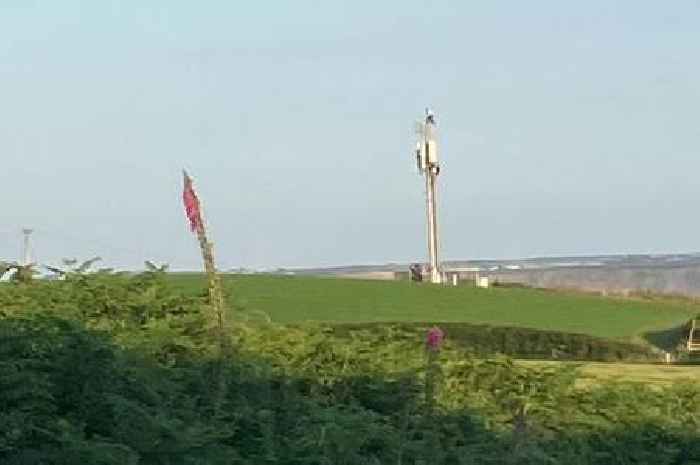 Police blast youths caught in 'incredibly dangerous' act in Cornwall