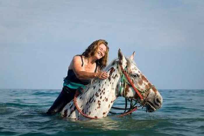 Sea swimming with horses in Cornwall - in pictures