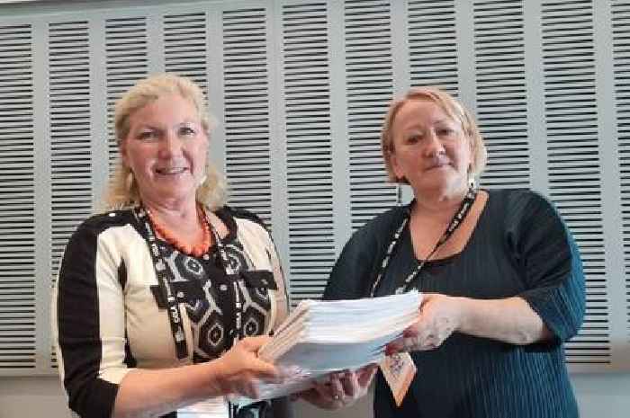 Hundreds of letters against Lincolnshire solar farms handed to government