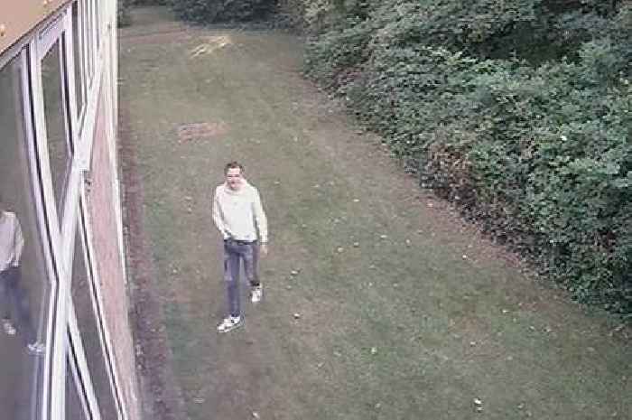 Manhunt after girl, 15, 'raped' near library in broad daylight